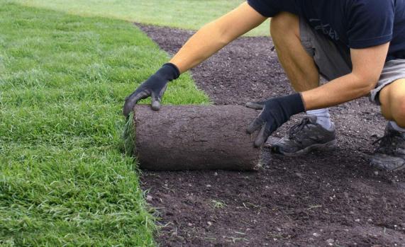 Entretien jardin